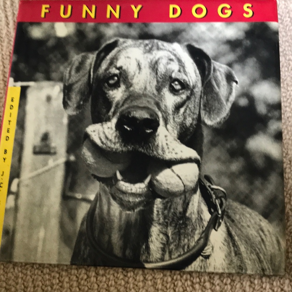 Funny Dogs book.  Great gift.